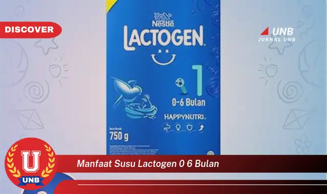 manfaat susu lactogen 0 6 bulan
