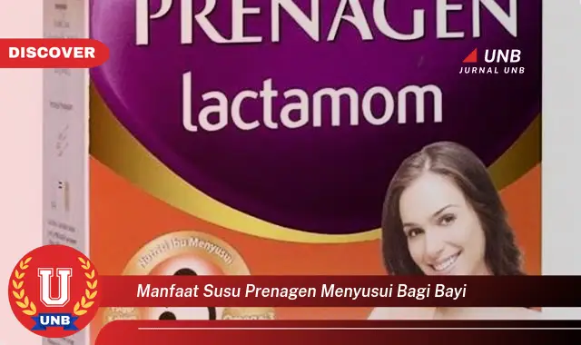 manfaat susu prenagen menyusui bagi bayi manfaat susu prenagen menyusui bagi bayi