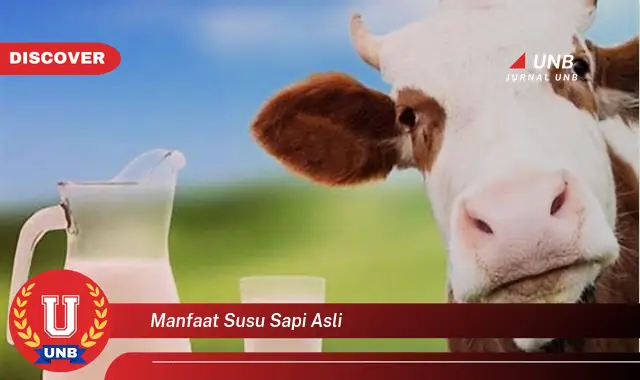 manfaat susu sapi asli manfaat susu sapi asli