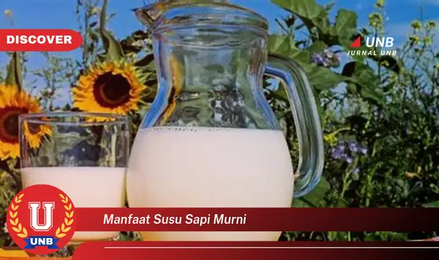 manfaat susu sapi murni manfaat susu sapi murni