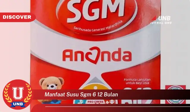 manfaat susu sgm 6 12 bulan