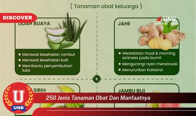 250 jenis tanaman obat dan manfaatnya