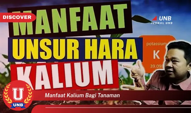 Intip 6 Manfaat Kalium bagi Tanaman yang Wajib Kamu Ketahui
