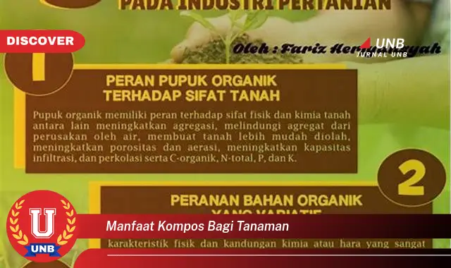 manfaat kompos bagi tanaman manfaat kompos bagi tanaman
