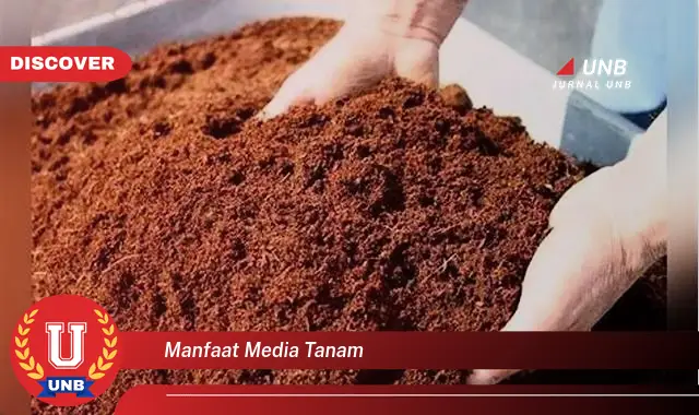 manfaat media tanam manfaat media tanam