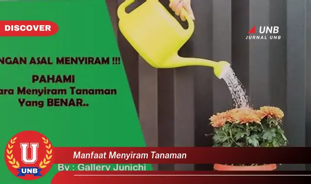 manfaat menyiram tanaman