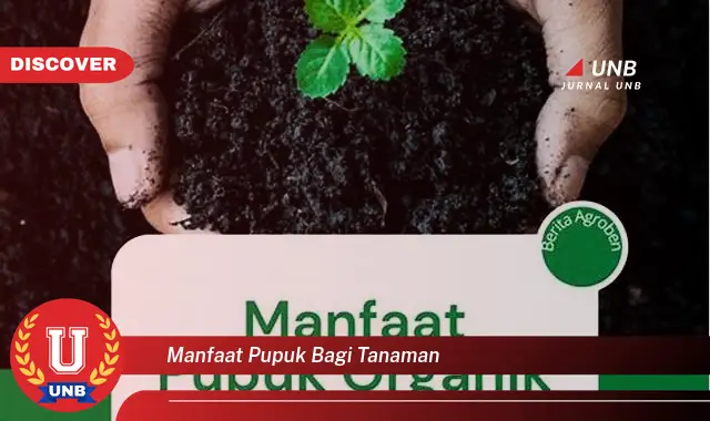 manfaat pupuk bagi tanaman