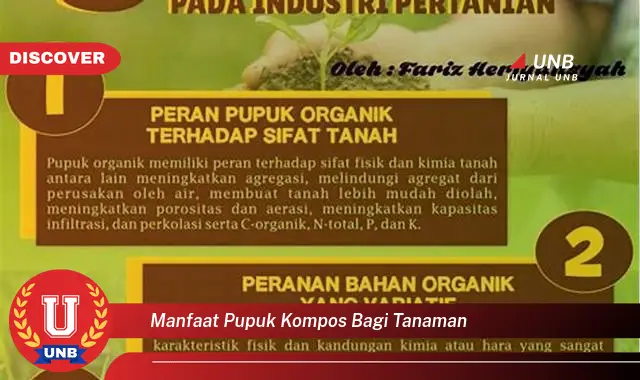 manfaat pupuk kompos bagi tanaman manfaat pupuk kompos bagi tanaman