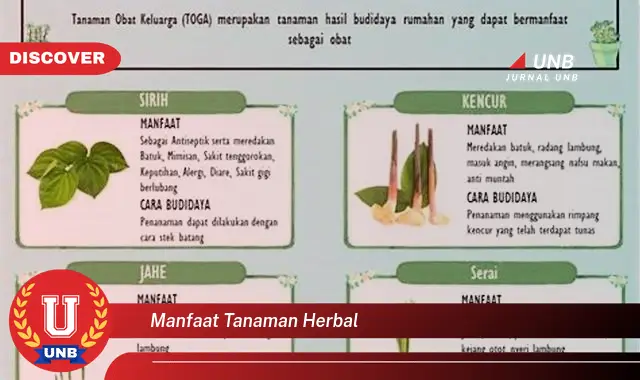 manfaat tanaman herbal