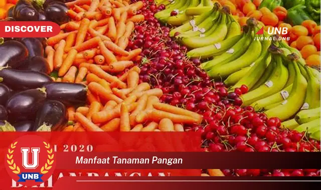 manfaat tanaman pangan