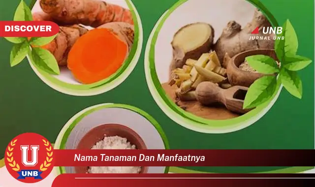 nama tanaman dan manfaatnya