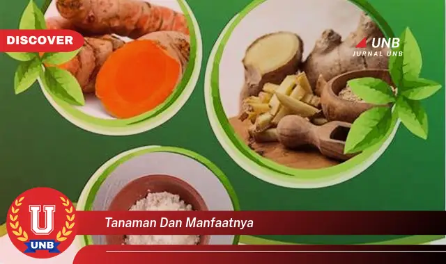tanaman dan manfaatnya tanaman dan manfaatnya