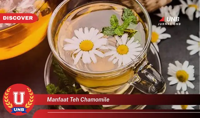 manfaat teh chamomile manfaat teh chamomile