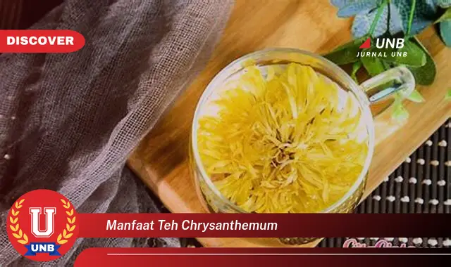 manfaat teh chrysanthemum manfaat teh chrysanthemum