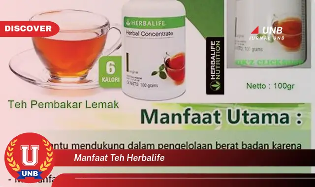 manfaat teh herbalife