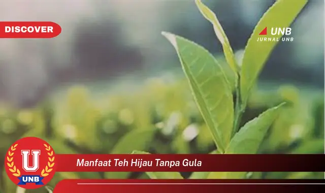 manfaat teh hijau tanpa gula manfaat teh hijau tanpa gula