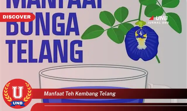 manfaat teh kembang telang