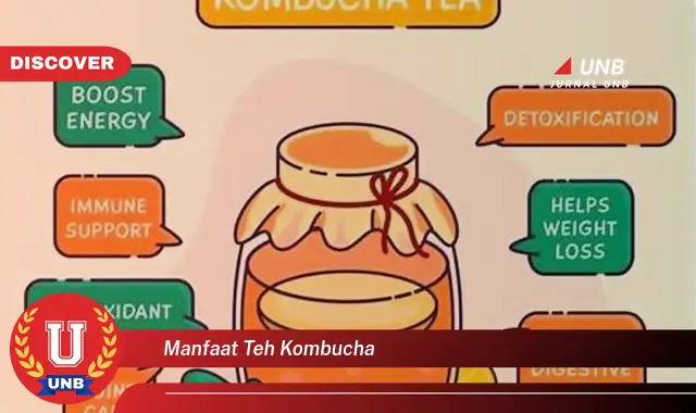 manfaat teh kombucha