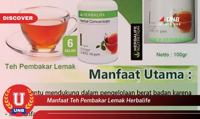 manfaat teh pembakar lemak herbalife