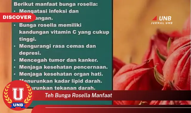 teh bunga rosella manfaat