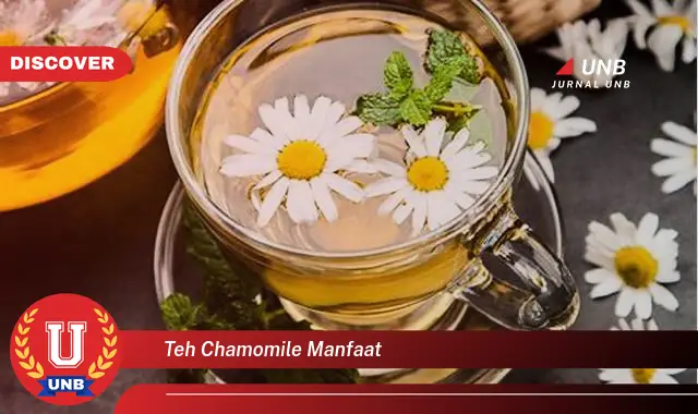 teh chamomile manfaat