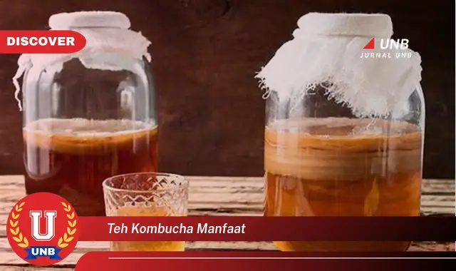 teh kombucha manfaat