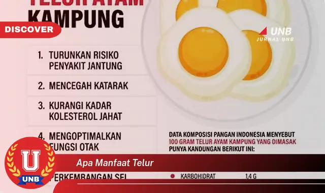 apa manfaat telur