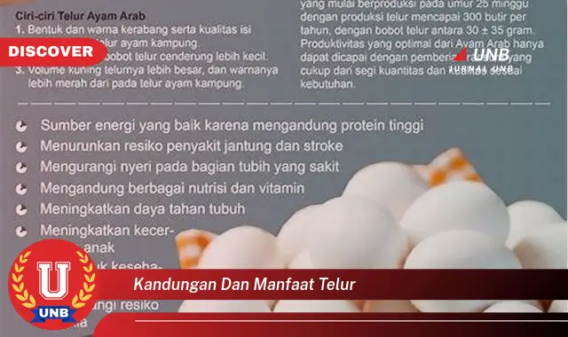 kandungan dan manfaat telur