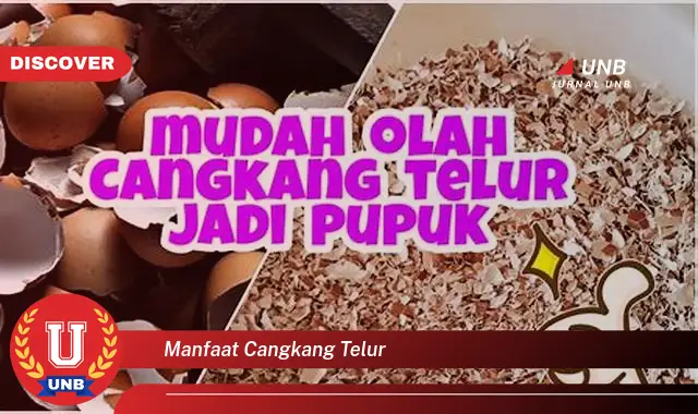 manfaat cangkang telur manfaat cangkang telur