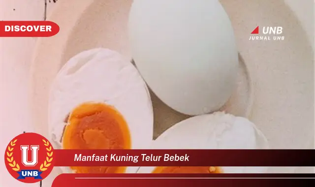 manfaat kuning telur bebek