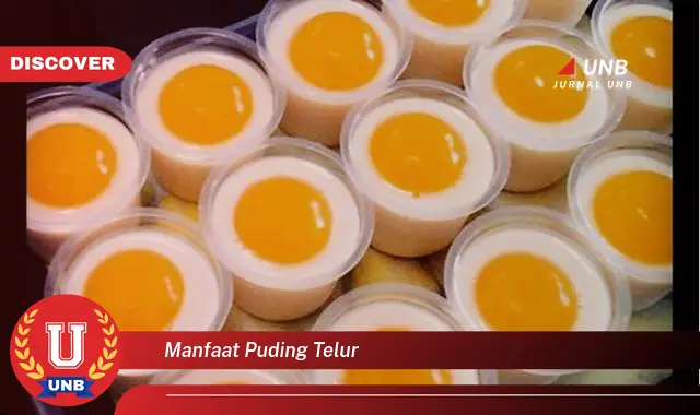 manfaat puding telur