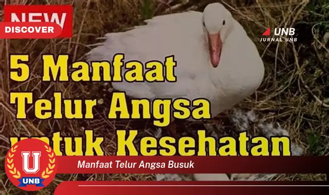 manfaat telur angsa busuk