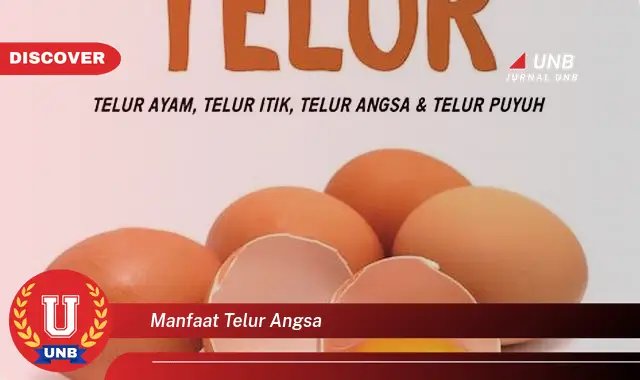 manfaat telur angsa manfaat telur angsa