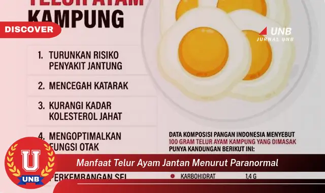 manfaat telur ayam jantan menurut paranormal