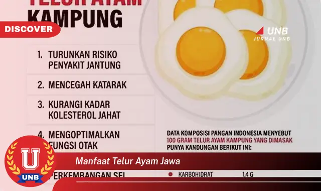 manfaat telur ayam jawa