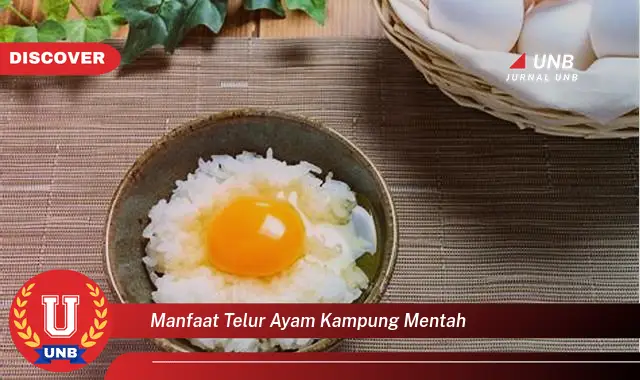 manfaat telur ayam kampung mentah