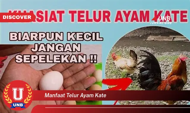 manfaat telur ayam kate