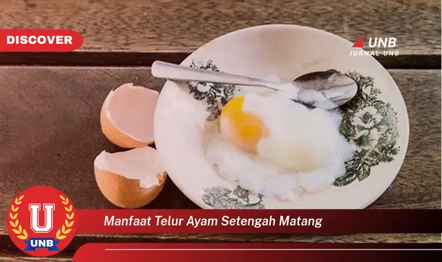 manfaat telur ayam setengah matang