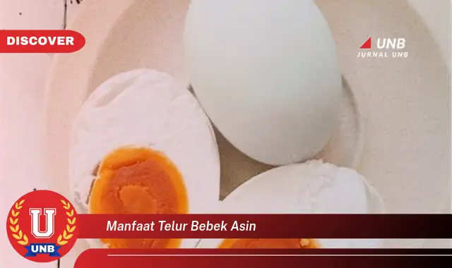 manfaat telur bebek asin