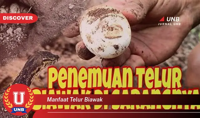manfaat telur biawak
