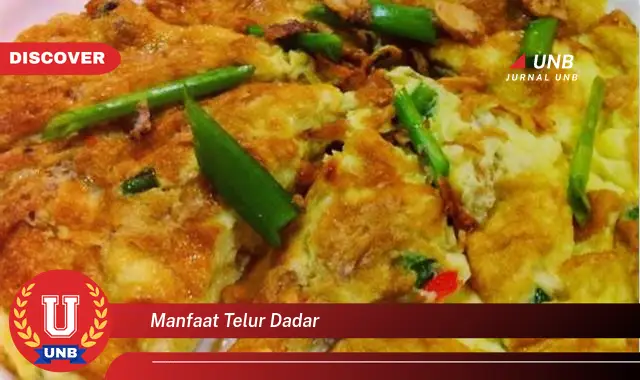 manfaat telur dadar