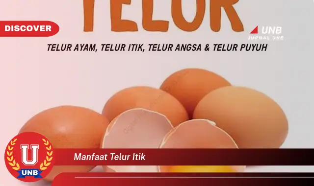 manfaat telur itik