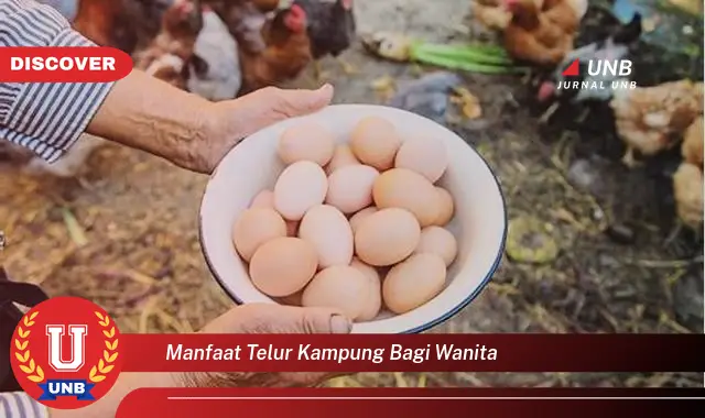 manfaat telur kampung bagi wanita