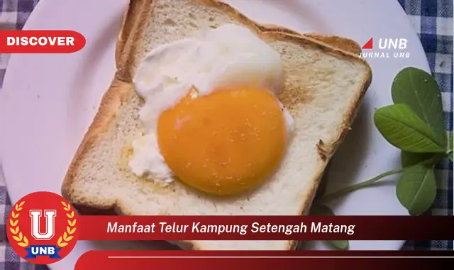 manfaat telur kampung setengah matang