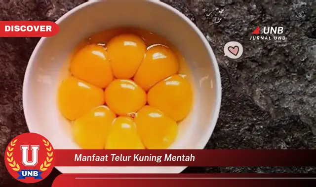 manfaat telur kuning mentah