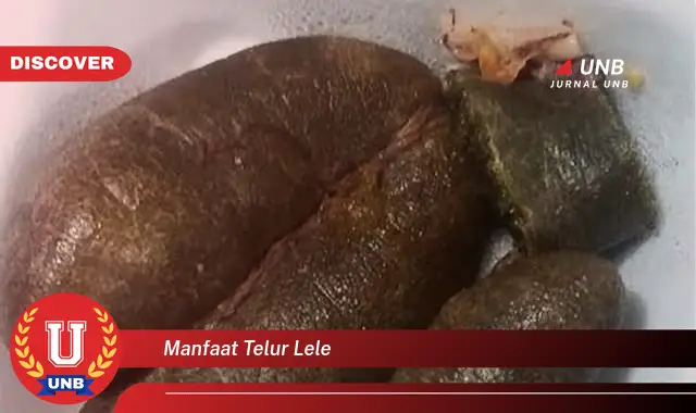 manfaat telur lele