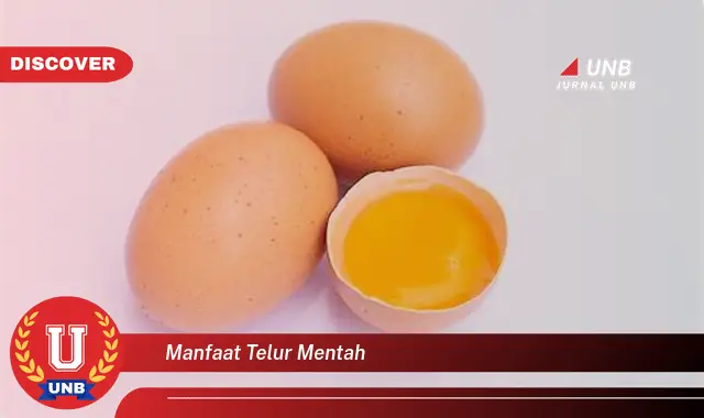 manfaat telur mentah