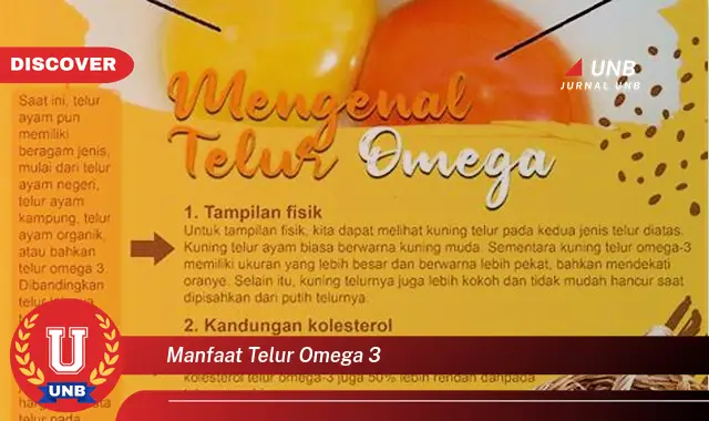 manfaat telur omega 3