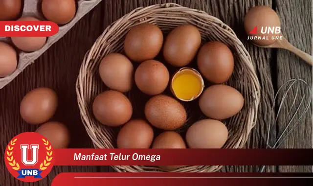 manfaat telur omega