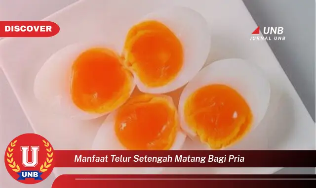 manfaat telur setengah matang bagi pria